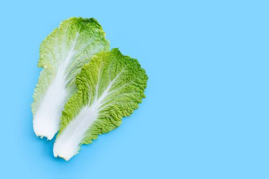 Chinese cabbage on blue background. Copy space