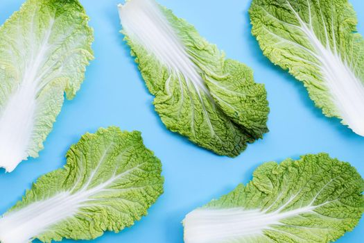 Chinese cabbage on blue background. Copy space