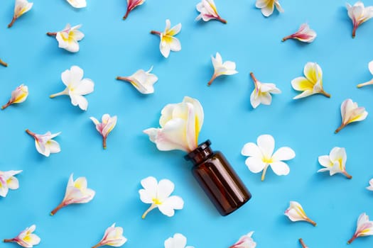 Essential oil bottle with plumeria or frangipani flower on blue background. Top view