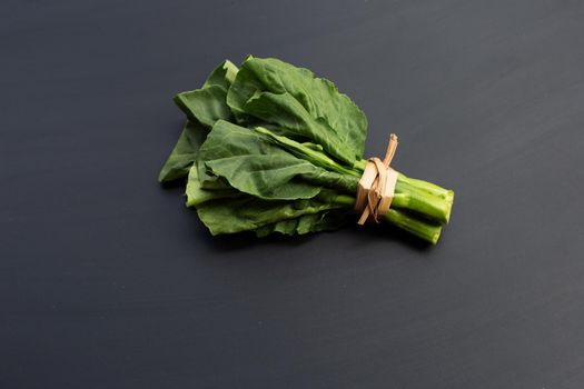 Collard green on dark background. 