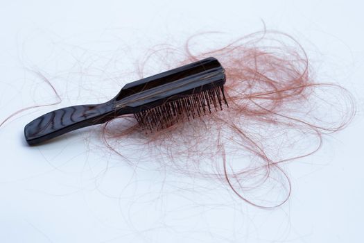 Hairs loss fall in comb on white background.