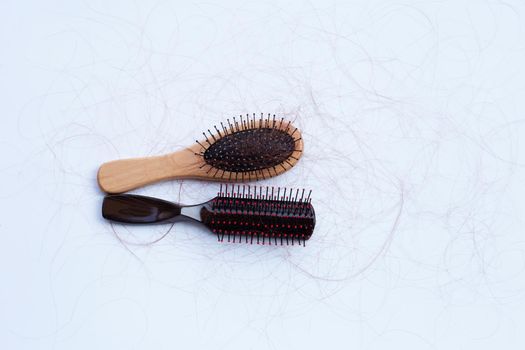 Hairs loss fall in combs on white background.