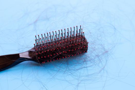 Hairs loss fall in comb on blue background.