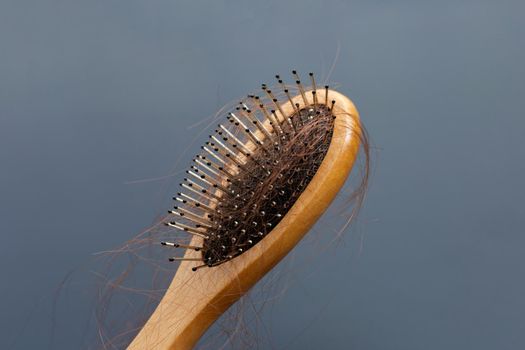 Hairs loss fall in comb on dark background.