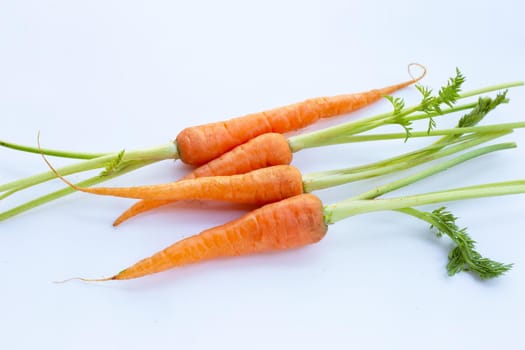 Fresh carrots on white background.