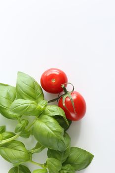 Fresh cherry tomatoes on white background, green basil. Vertical flat lay, top view, copy space. Menu template
