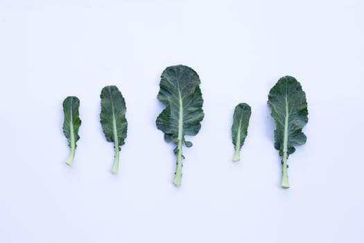 Fresh broccoli leaves on white background. Top view