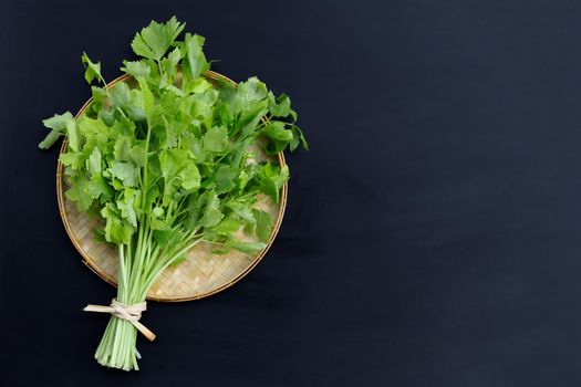 Chinese celery on dark background. Copy space