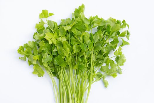 Chinese celery on white background