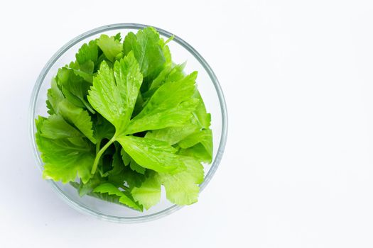 Chinese celery leaves in glass bowl on white background
