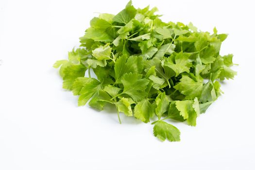 Chinese celery on white background