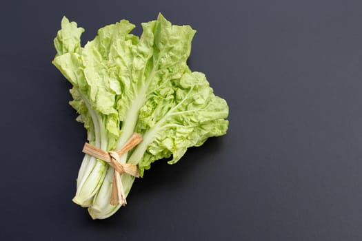 Chinese Cabbage on dark background. Copy space