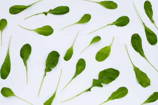 Fresh green rocket salad on white background.