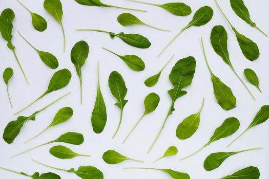 Fresh green rocket salad on white background.