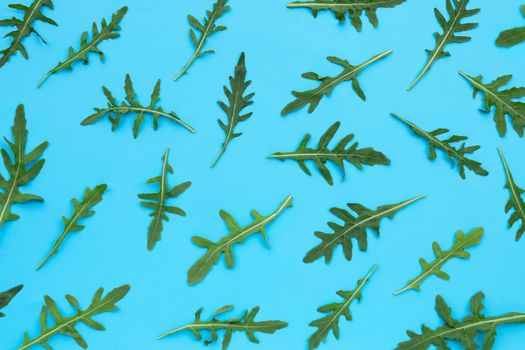 Fresh green rocket salad on blue background.