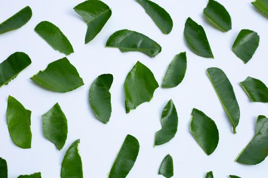Bergamot kaffir lime leaves herb fresh ingredient isolated on white background.