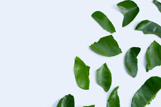 Bergamot kaffir lime leaves herb fresh ingredient isolated on white background.