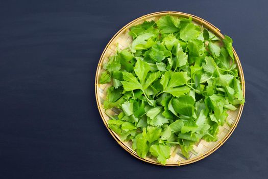 Chinese celery on dark background. Top view