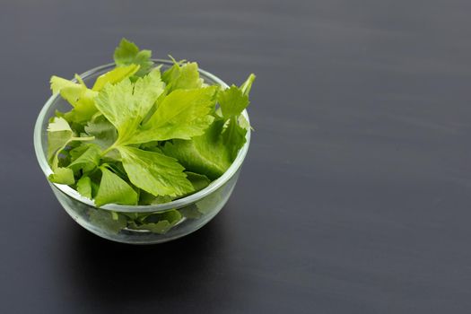 Chinese celery on dark background.