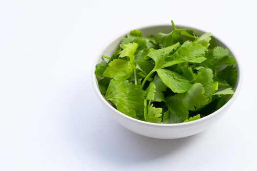 Chinese celery leaves in white bowl on white background