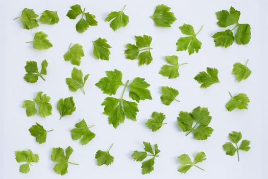 Chinese celery on white background