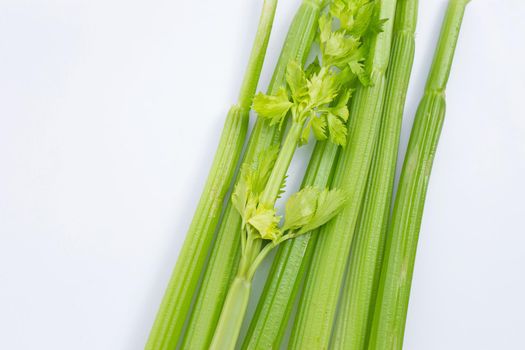 Fresh celery on white background. Top view