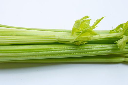 Fresh celery on white background. 