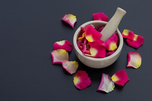 Rose petals in porcelain mortar with pestle isolated on dark background.