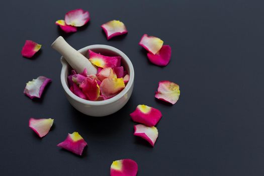 Rose petals in porcelain mortar with pestle isolated on dark background.