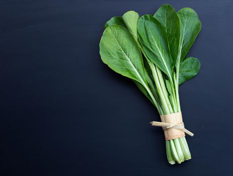 Choy Sum on dark background. Copy space