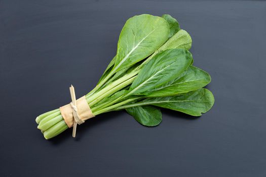 Choy Sum on dark background. Copy space
