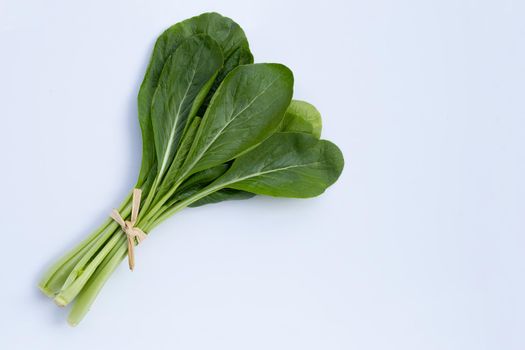 Choy Sum on white background. Copy space