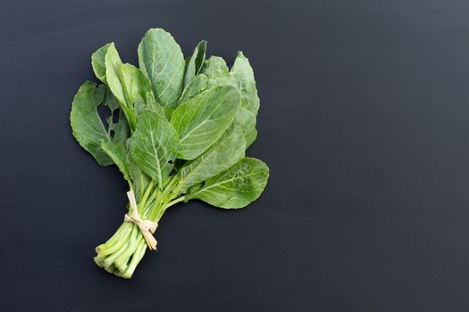 Collard green leaves with holes, eaten by pest. Organic Vegetable
