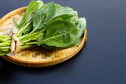 Collard green on dark background.