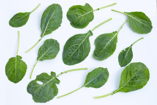 Collard green leaves with holes, eaten by pest. Organic Vegetable
