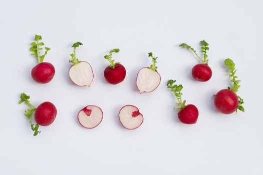 Fresh radish on white background. 