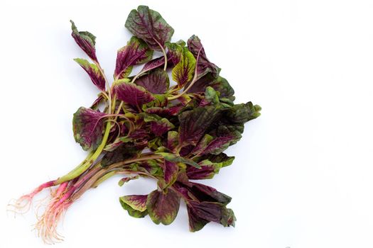 Red spinach on white background.
