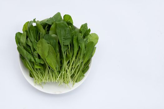 Fresh green rocket salad on white background.