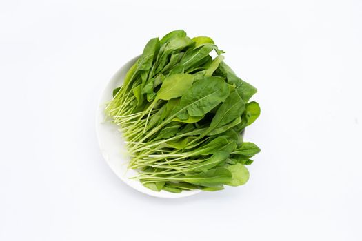 Fresh green rocket salad on white background.