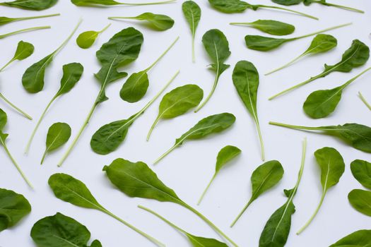 Fresh green rocket salad on white background.
