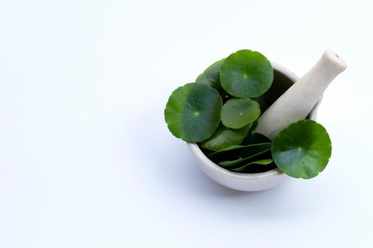 Fresh green centella asiatica leaves or water pennywort  plant in mortar with pestle on white background.