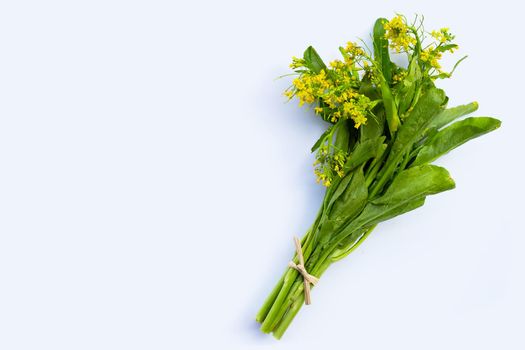 Choy Sum on white background. Copy space