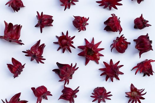 Roselle flower isolated on white background.