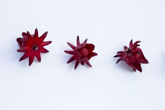 Roselle flower isolated on white background.