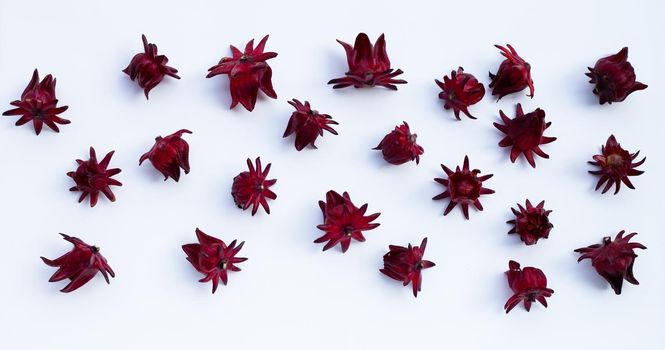 Roselle flower isolated on white background.