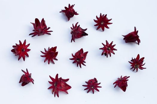 Roselle flower isolated on white background.