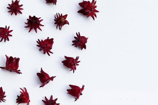 Roselle flower isolated on white background.
