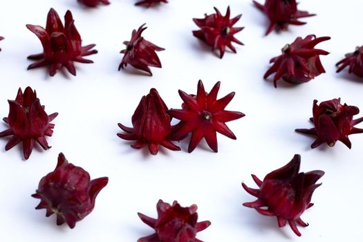 Roselle flower isolated on white background.