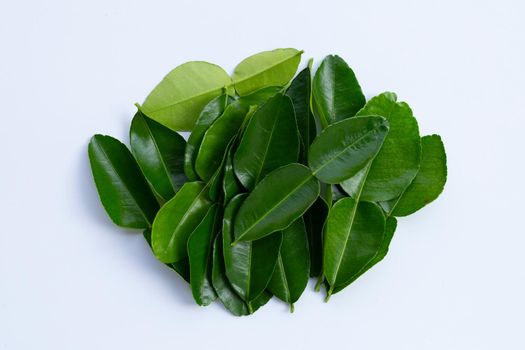 Bergamot kaffir lime leaves herb fresh ingredient isolated on white background.
