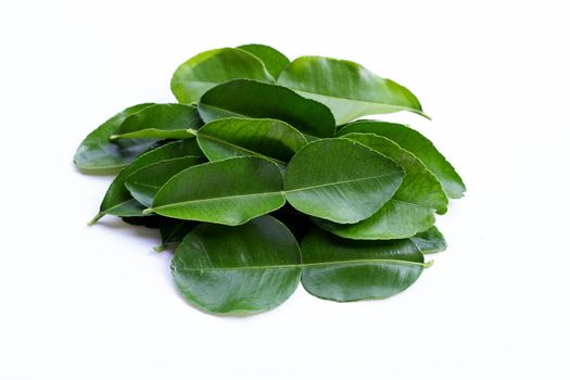 Bergamot kaffir lime leaves herb fresh ingredient isolated on white background.